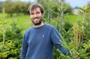 Sapin coupé ou sapin cultivé en pot : quelle différence ?