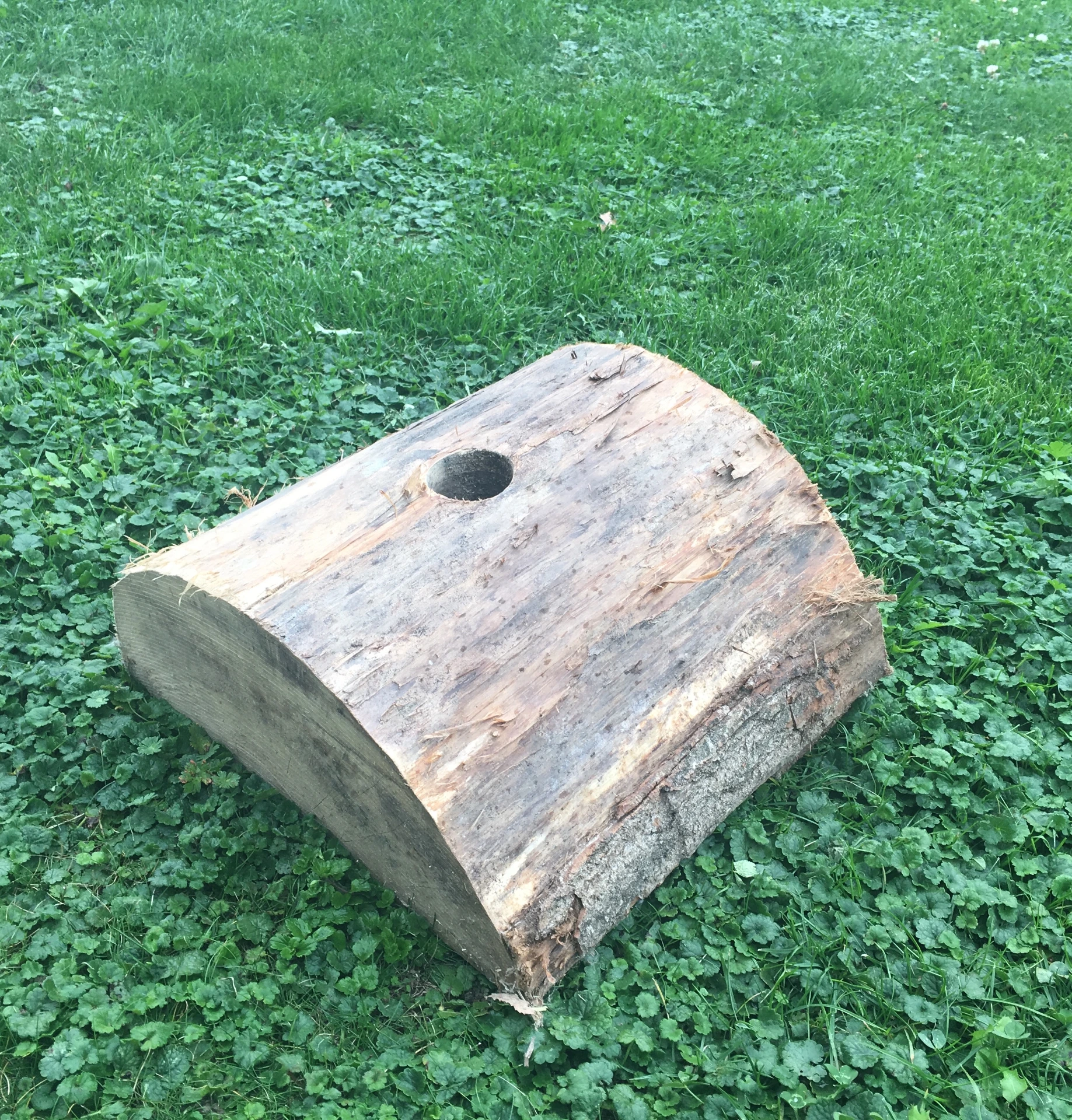 Pied EasyFix / Demi Bûche S